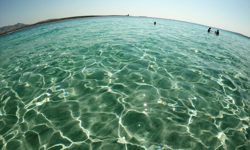 NELL'ACQUA CRISTALLINA DEL MARE DI STINTINO, SPIAGGIA DELLA PELOSA-SARDEGNA- GIUGNO 2018- FOTO MAURO PORTO TORRES-