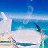 flyingw0lf