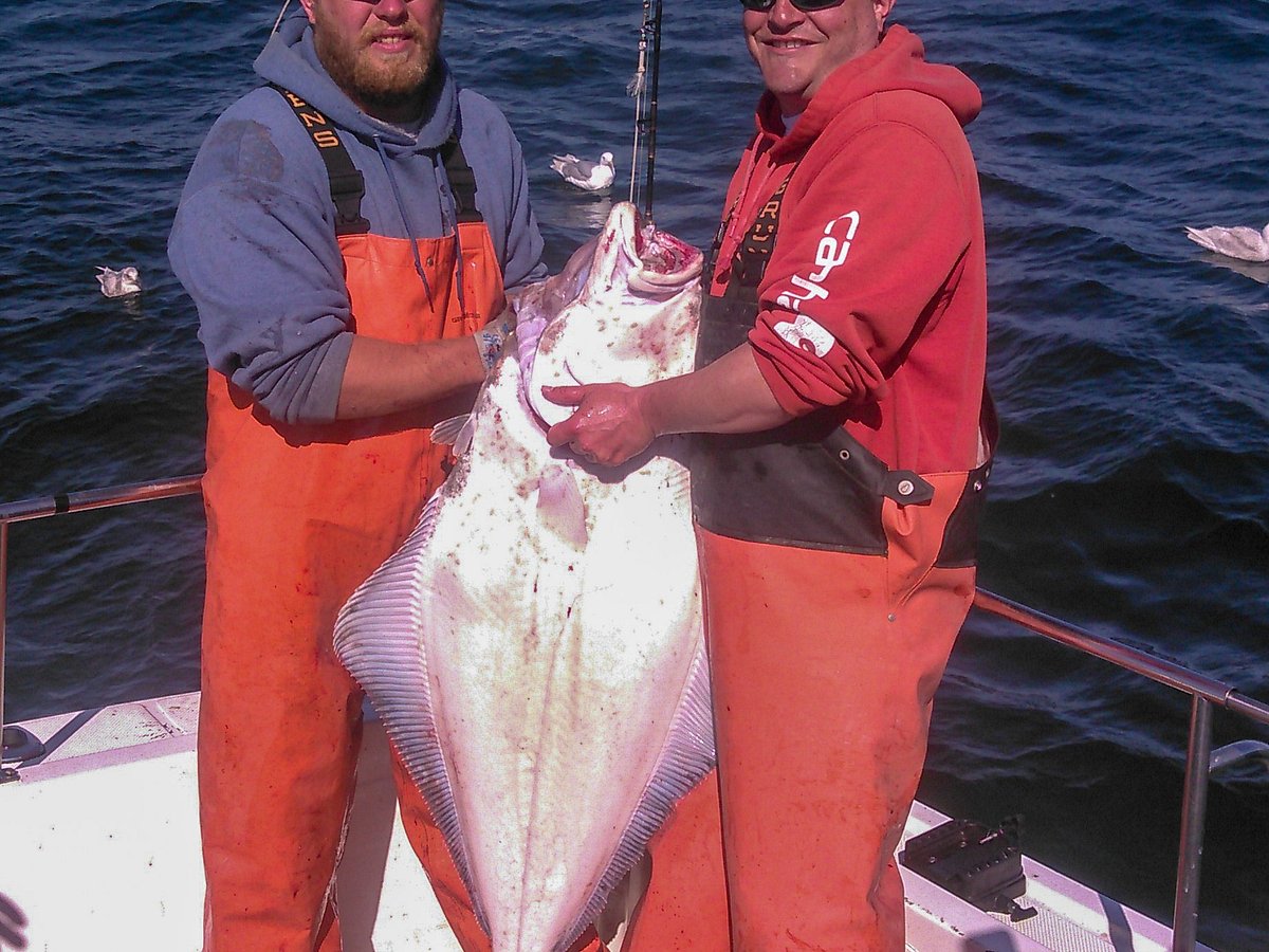 Alaska Fishing: Seldovia Saltwater Fishery - Alaska Outdoors Supersite