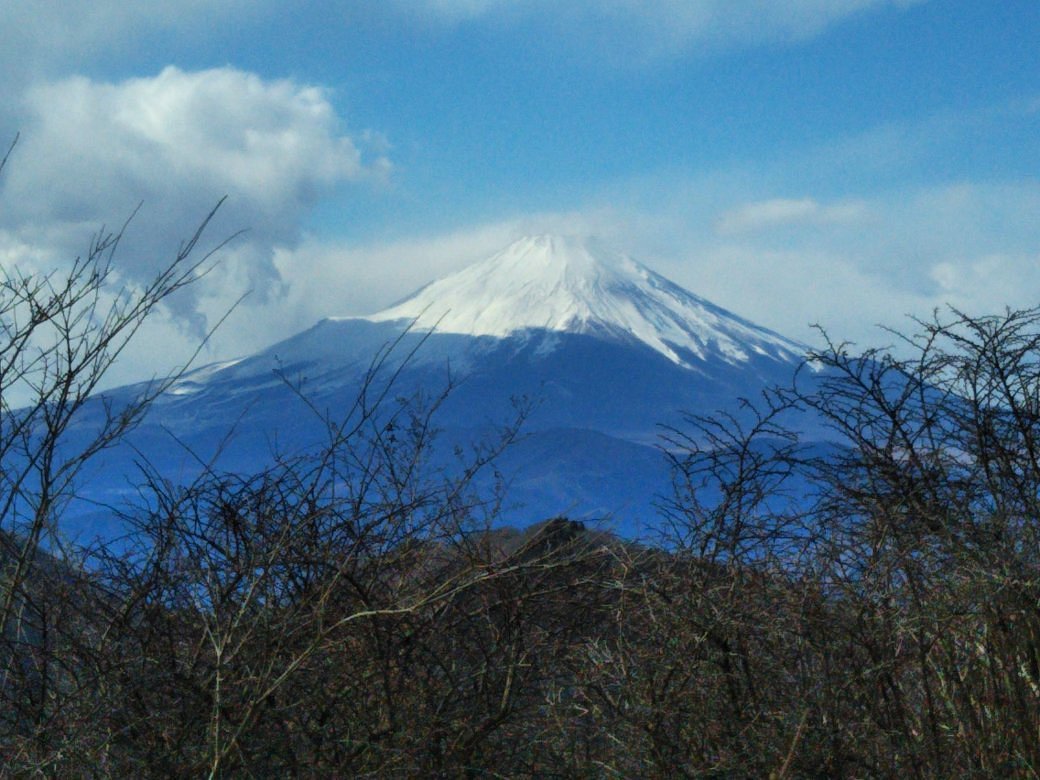 22年 鍋割山 行く前に 見どころをチェック トリップアドバイザー