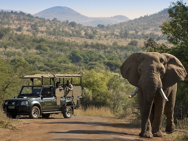 Kruger Park Open Vehicle Safari image