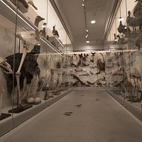 Inside the museum