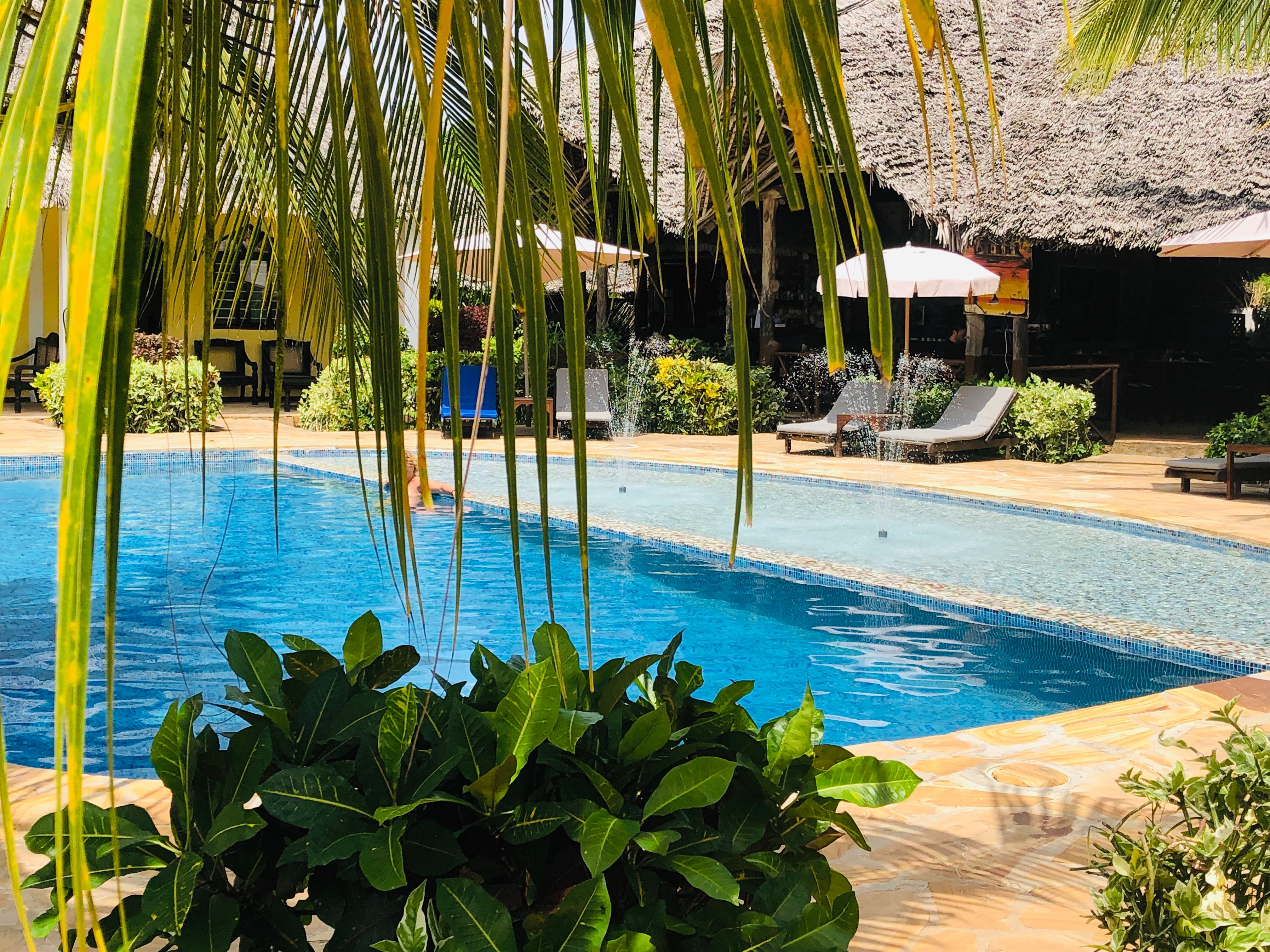 Kiwengwa Bungalow Boutique Resort Pool: Pictures & Reviews - Tripadvisor