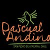 Hotel Pascual Andino
