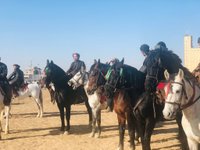 BUZKASHI STADIUM (2024) All You Need to Know BEFORE You Go (with Photos)