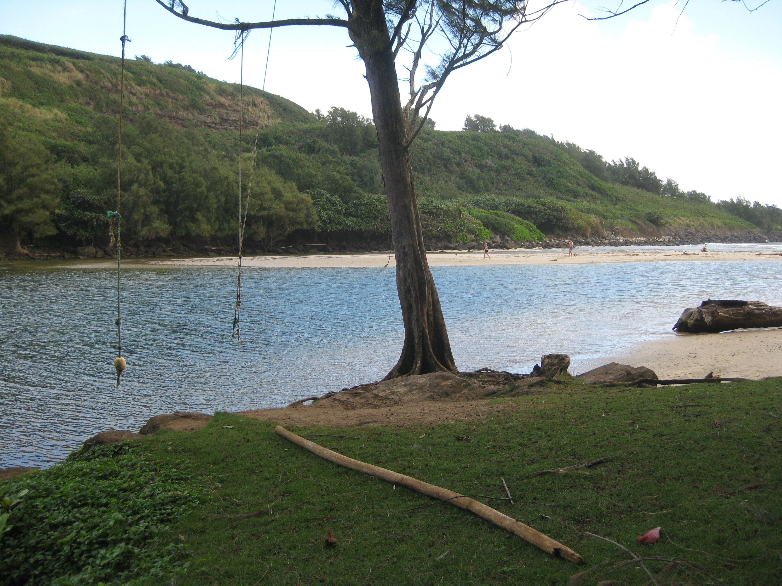 Kahili Quarry Beach (Kilauea) : 2022 Ce Qu'il Faut Savoir Pour Votre ...