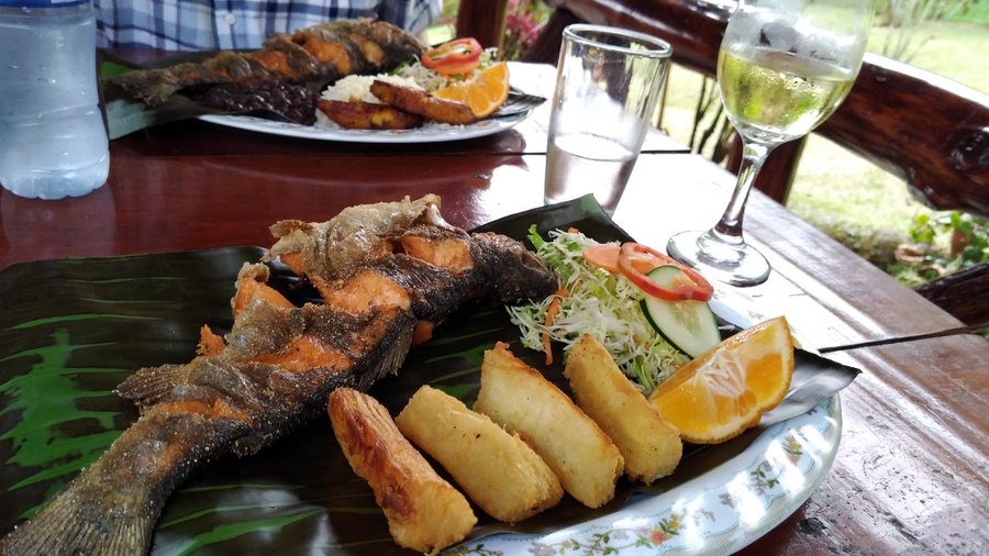 Best trout we've eaten in years