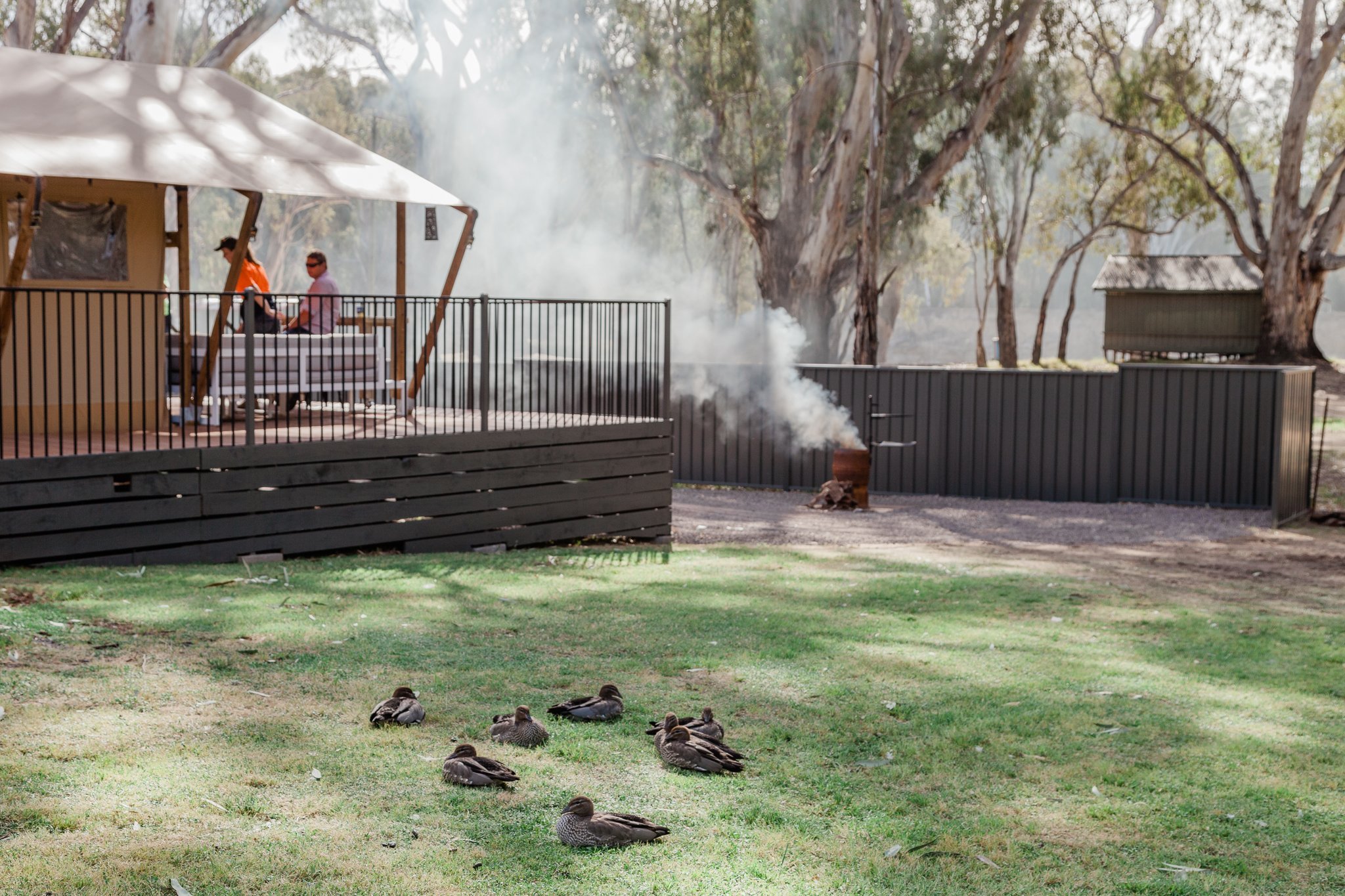 McLean Beach Holiday Park by null