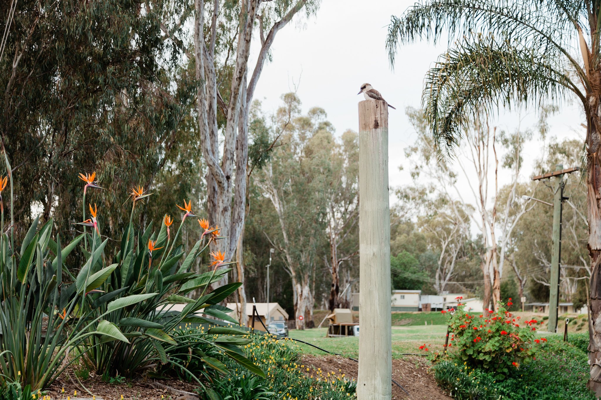 McLean Beach Holiday Park by null