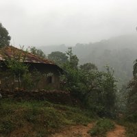 Tadiandamol Peak (Kodagu (Coorg)) - All You Need to Know BEFORE You Go