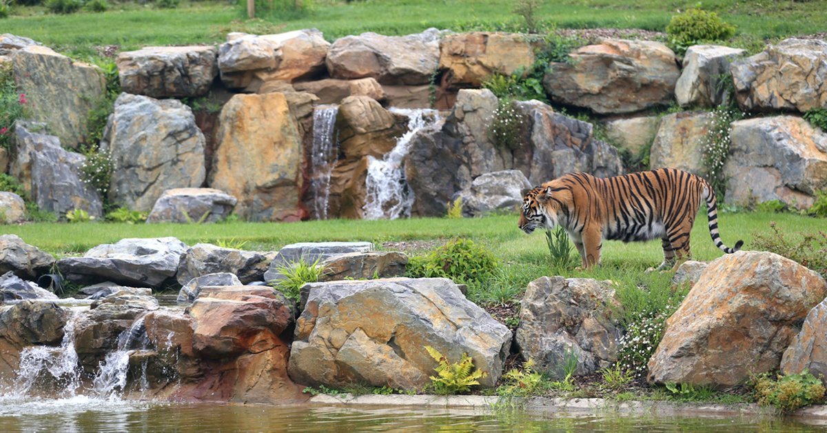 Zoo De Champrepus Frankrike Omdomen Tripadvisor