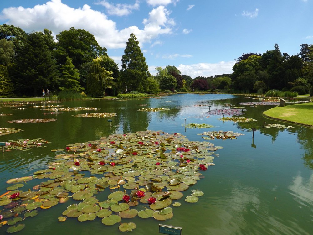 THE 10 BEST Yorkshire Gardens (2024) - Tripadvisor