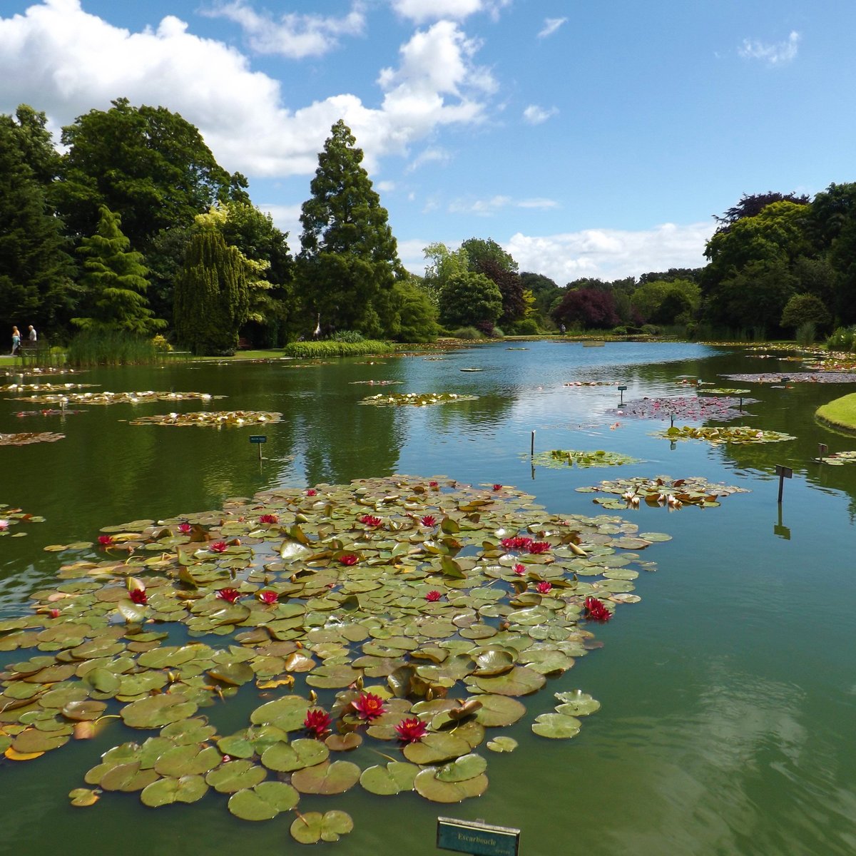 BURNBY HALL GARDENS AND MUSEUM (2024) All You Need to Know BEFORE You ...