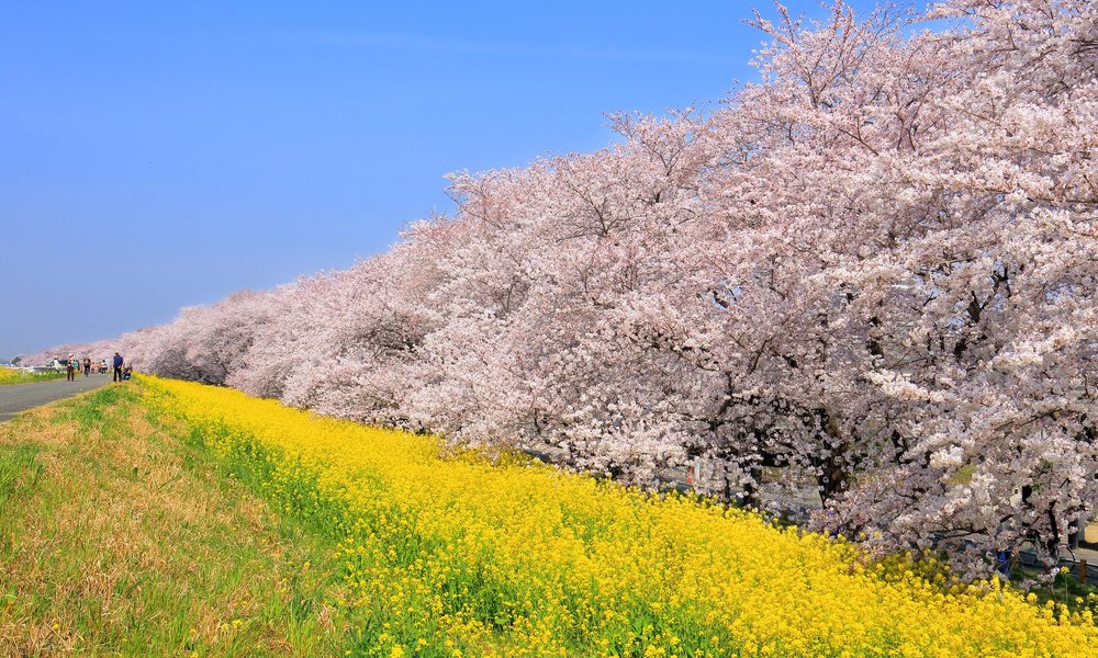 年日本熊谷市的旅游景点 旅游指南 行程 Tripadvisor