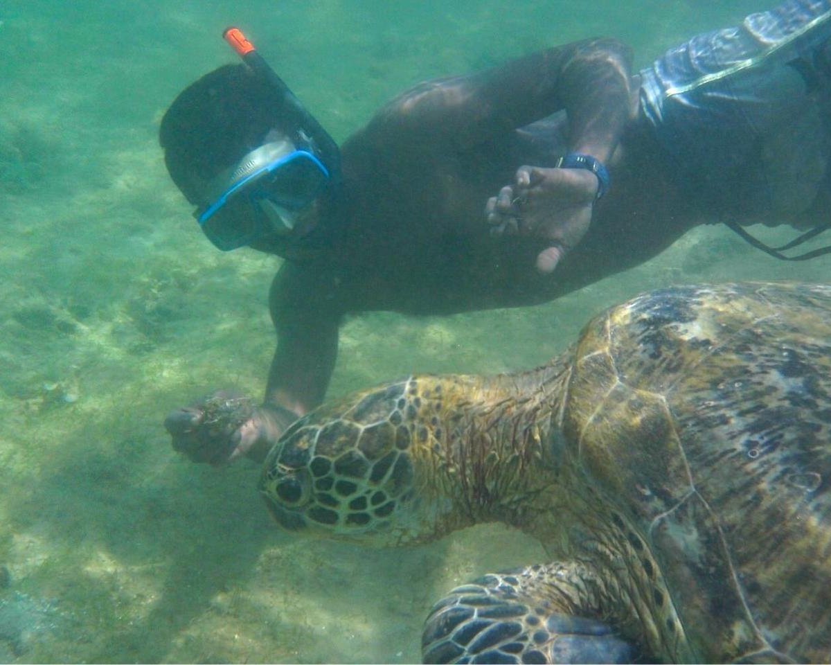 Turtle Bay Activities, Велигама: лучшие советы перед посещением -  Tripadvisor