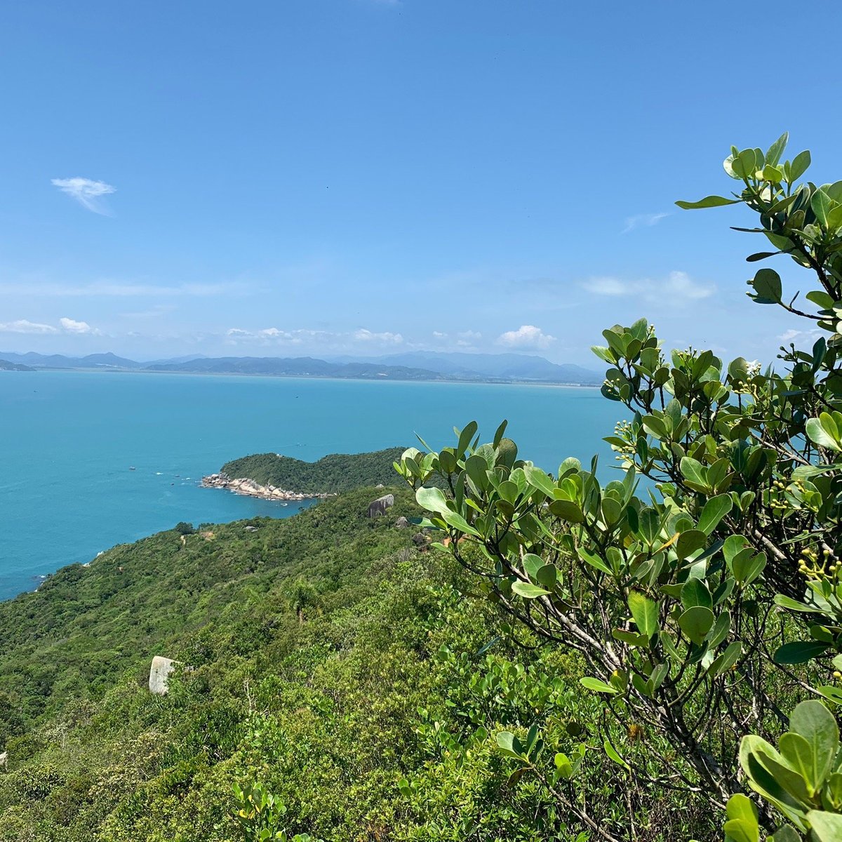 Mirante e Trilha do Morro do Macaco em Bombinhas: Conheça e se encante -  Morada Baden Baden