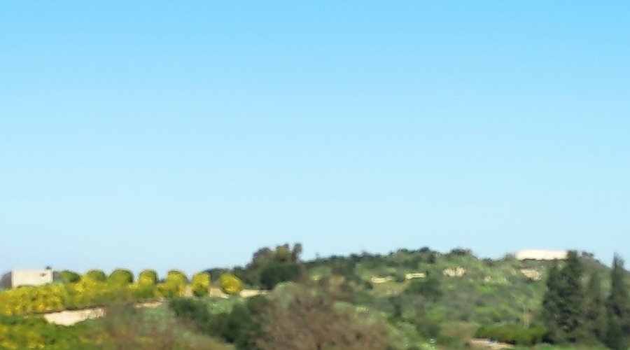 נוף באזור בסוף החורף