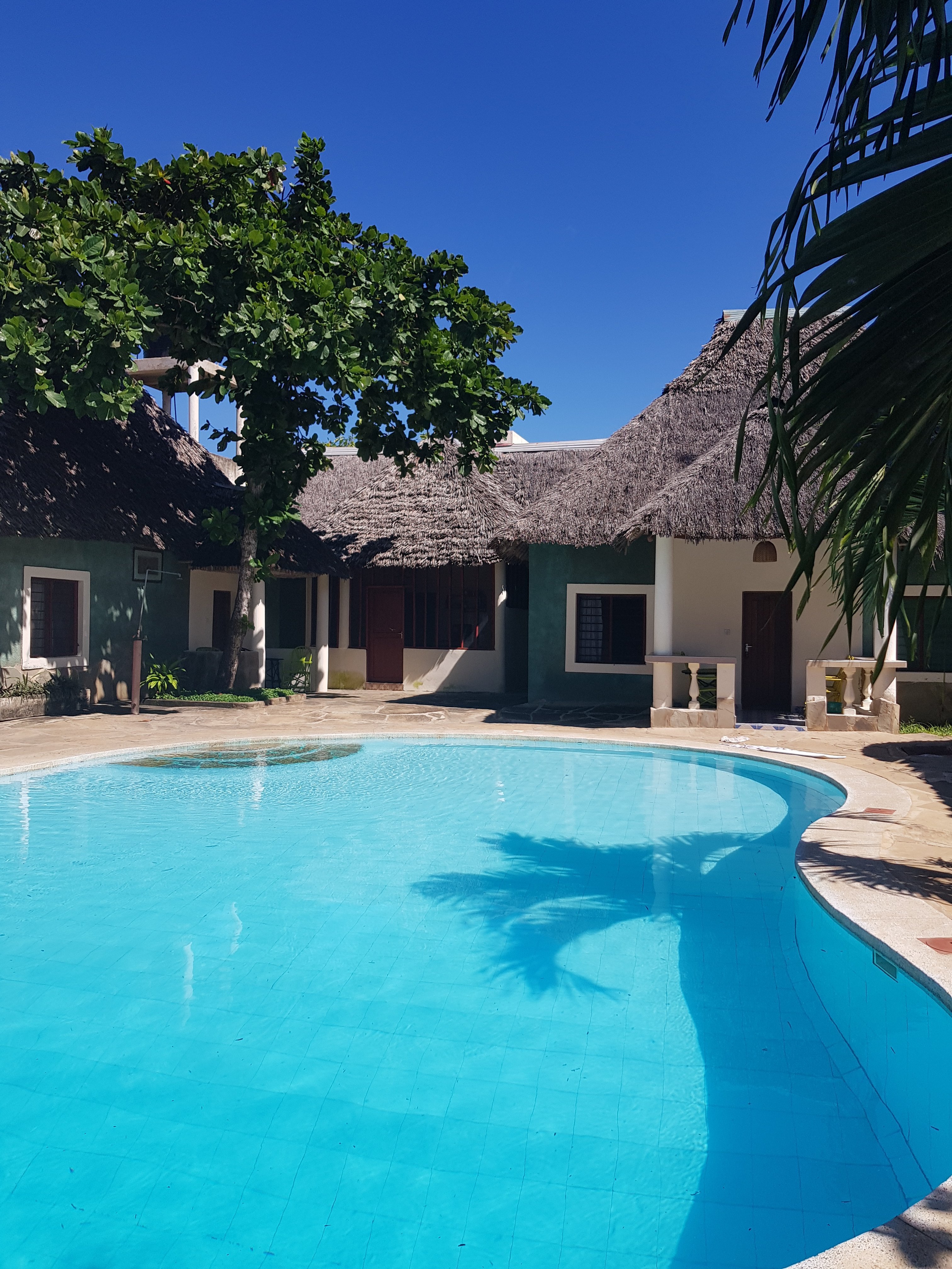 Diani Campsite And Cottages (Kenya/Diani Beach) - Tarifs 2021 Mis à ...