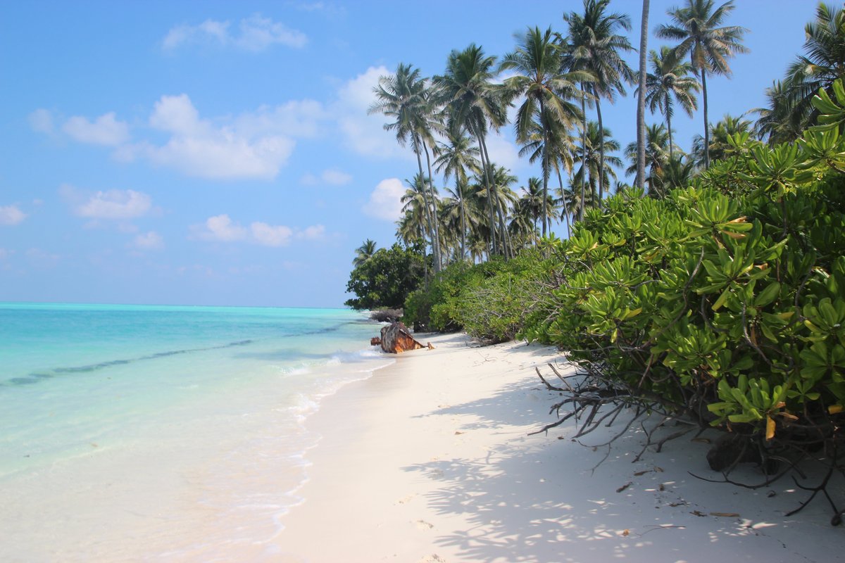 Bangaram Island Resort Snorkeling: Pictures & Reviews - Tripadvisor