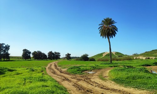 תל קשת ליד מושב אחוזם דרומחת לקרית גת. כאן עברה הרכבת עותמאנית -גרמנית. קרבות קשים במלחמת 48. חרסים מתקופה כנענית ועד ערבית הקדומה.