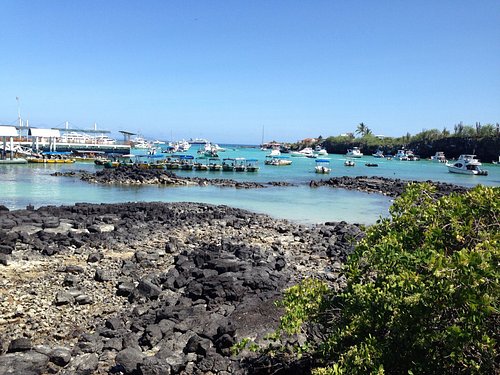 Best Free (or Cheap) Things to Do in The Galapagos