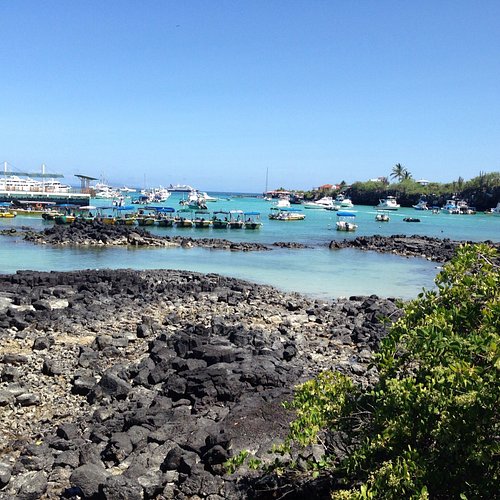 Ducha con agua caliente y fría, toalla de manos y pies, shampoo y jabón. -  Picture of Gloria-Galapagos Inn, Santa Cruz - Tripadvisor