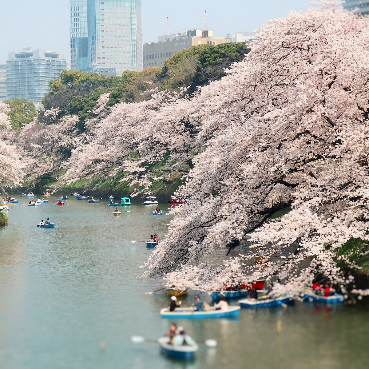 Токио парк Тиёда. Токио парк Тиеда. Chidorigafuchi.