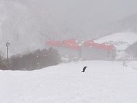 21年 白馬コルチナスキー場 行く前に 見どころをチェック トリップアドバイザー 21年 白馬コルチナスキー場 行く前に 見どころをチェック トリップアドバイザー