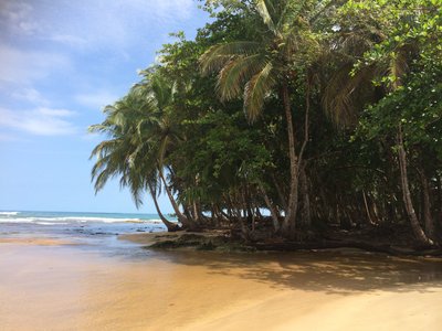 Guabito, Panama: All You Need to Know Before You Go (2024) - Tripadvisor