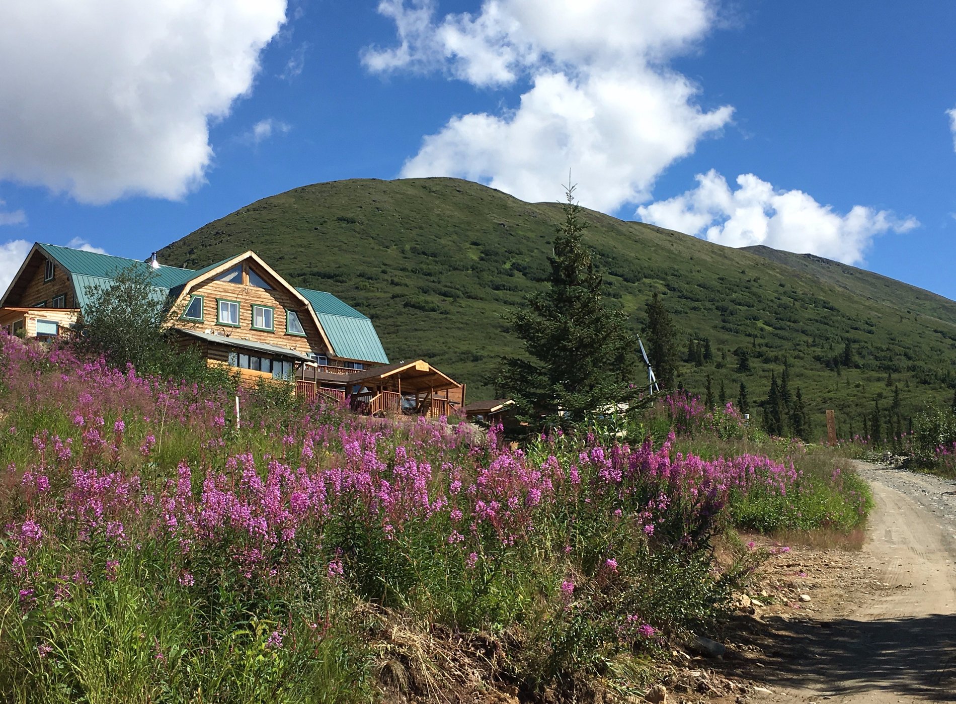 Alpine Creek Lodge by null