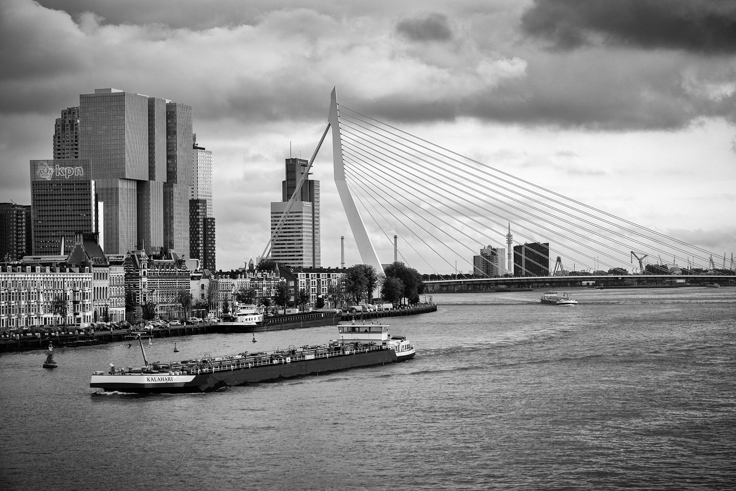 De Rooij Fotografie Rotterdam All You Need To Know Before You Go