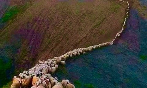 “Settembre, andiamo. È tempo di migrare. Ora in terra d’Abruzzi i miei pastori lascian gli stazzi e vanno verso il mare: scendono all’Adriatico selvaggio che verde è come i pascoli dei monti”. Così recita I pastori di Gabriele D’Annunzio, illustre poeta di Pescara profondamente legato alla sua terra.  L’indizio è chiaro: pastorizia in Abruzzo fa rima con transumanza.   Buona passeggiata a tutti....😍