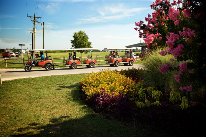 Sun Outdoors Cape Charles Game Room: Pictures & Reviews - Tripadvisor