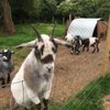 WorldTraveller123