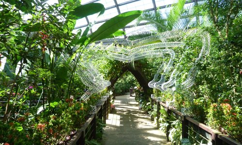 Scorcio del giardino