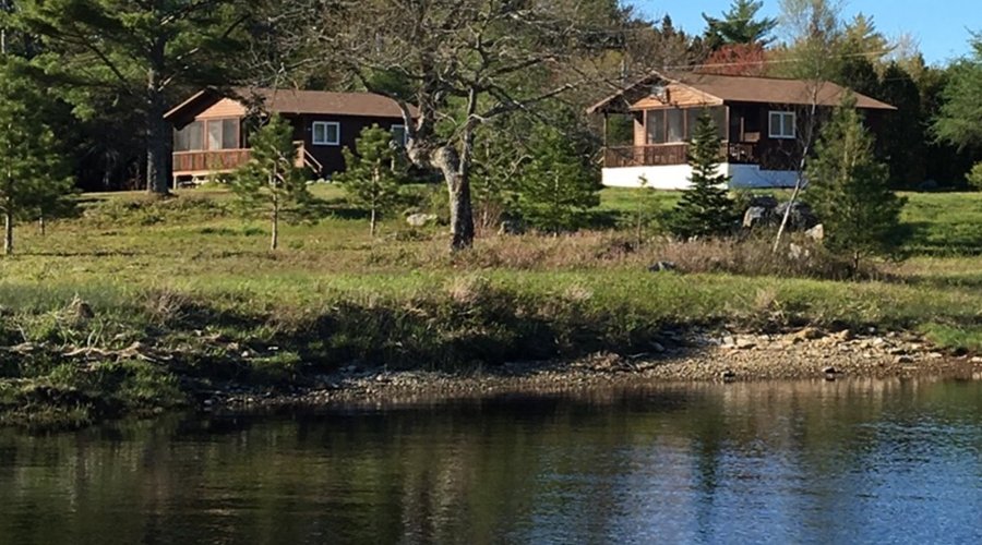 View from the River towards the Cottages 