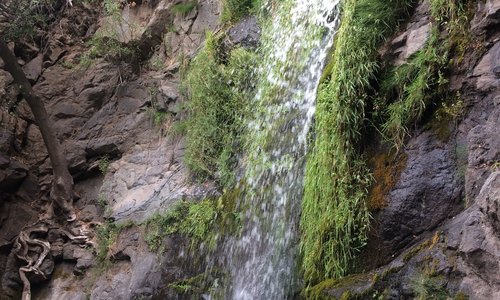 Salto de agua, Los Cipreses