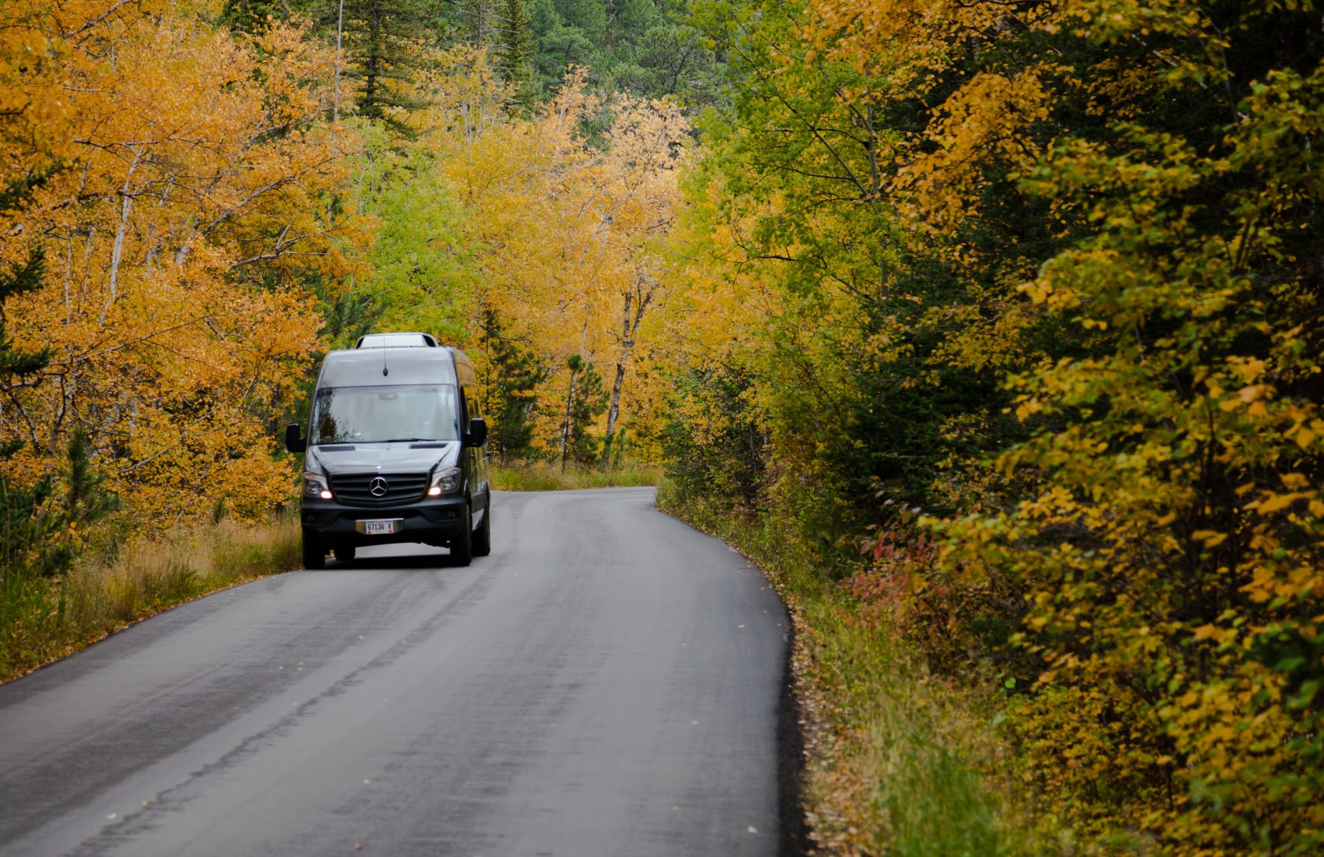 Black Hills Tour Company (Rapid City) - All You Need To Know BEFORE You Go