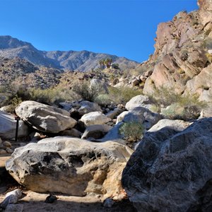 are dogs allowed at tahquitz canyon