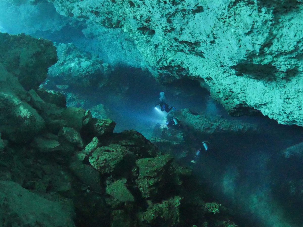 green divers tulum