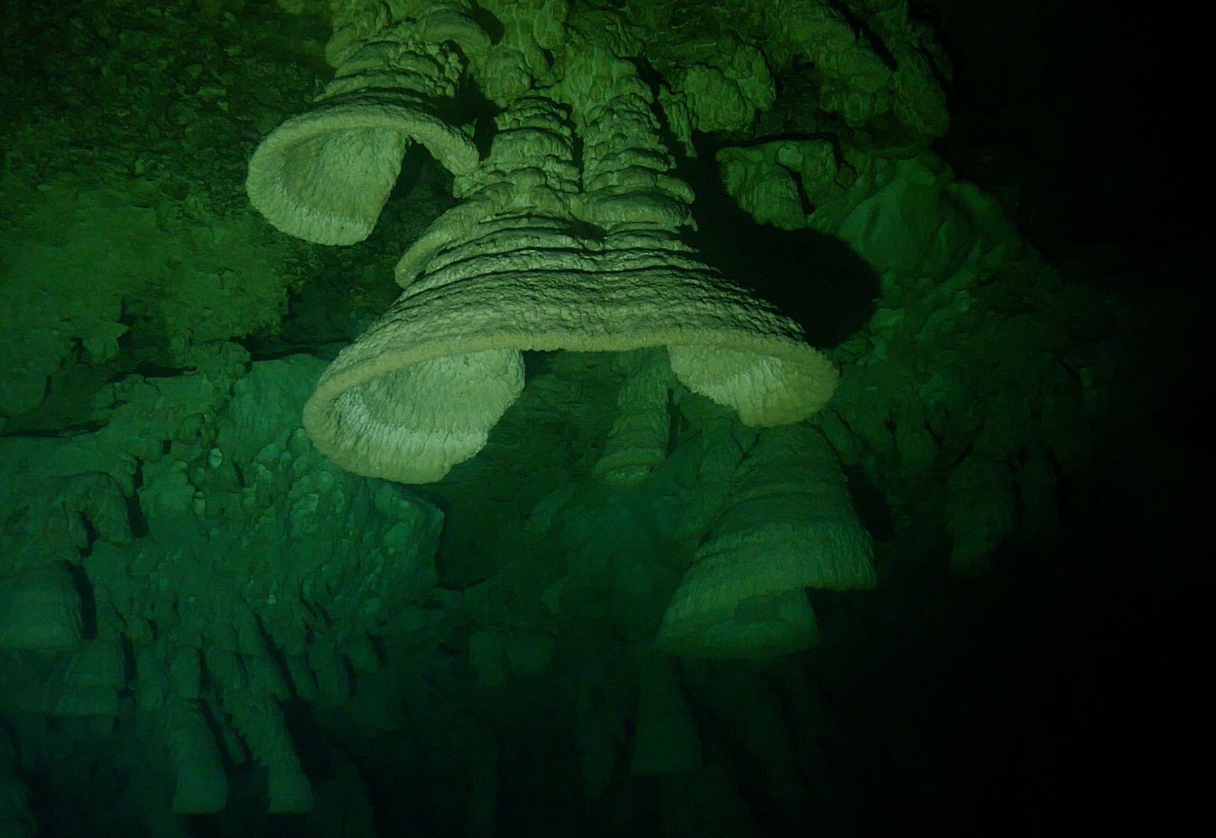 green divers tulum