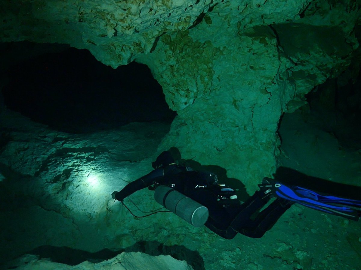 green divers tulum