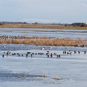 Sefton Coastal Path (Southport) - All You Need to Know BEFORE You Go