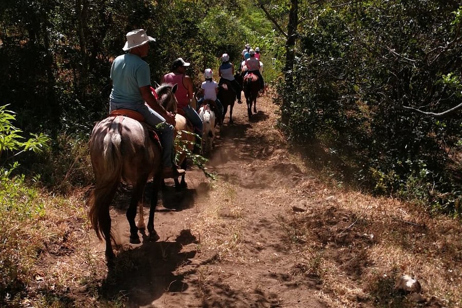 Finca EL Zapote Horseback Riding image