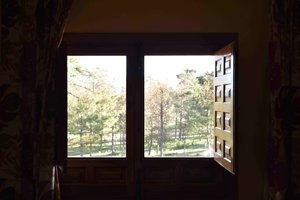 Phòng & Phòng Suite