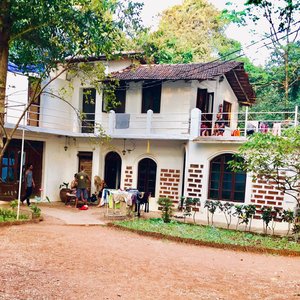 Around the hostel; their motto “life is too short to buy green bananas” wristband also enables the wearer to enjoy a delicious Brekkie!