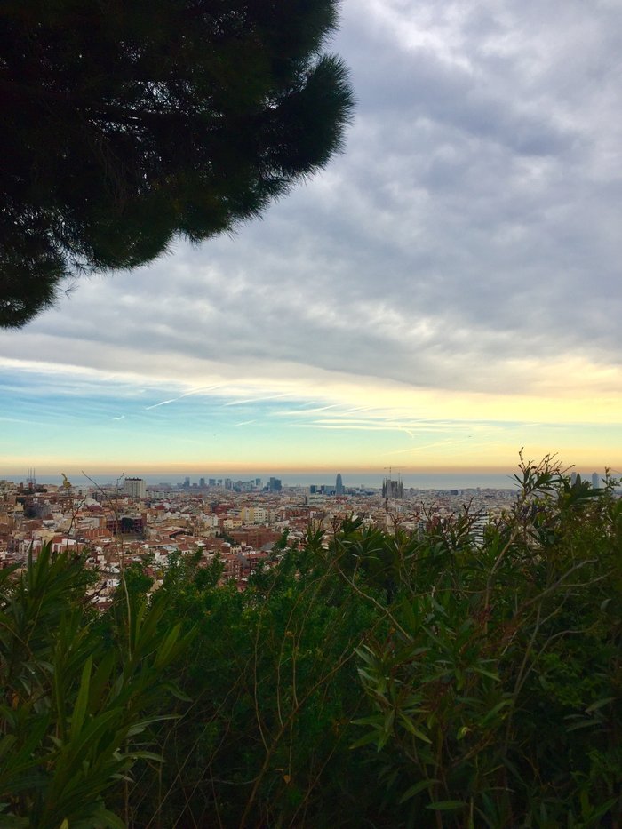 Imagen 10 de Jardines del Turo del Putxet