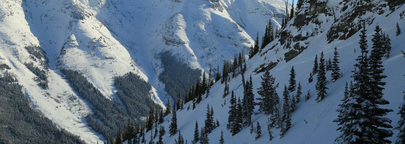Views of the Westcastle Valley