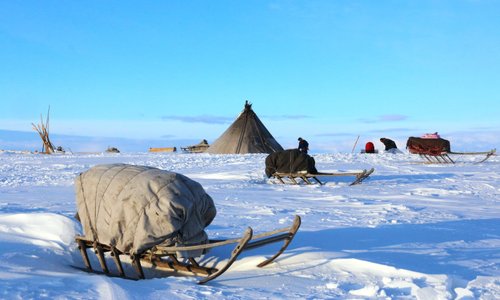 Пангоды ямало ненецкий фото поселка