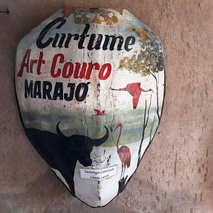 Instituição Caruanas do Marajó Cultura e Ecologia - A INSTITUIÇÃO CARUANAS